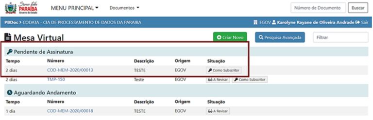 2.6 Assinar Documento subscritor