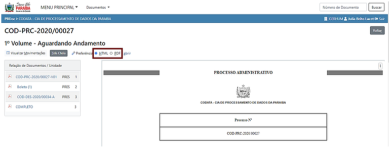 3.6 Visualizar Documento html ou pdf